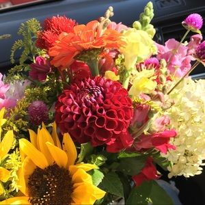 Meet your Posher, Danielle